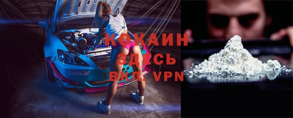 мдпв Каменка