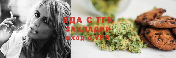 мдпв Каменка