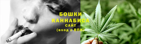 дурь Каменногорск