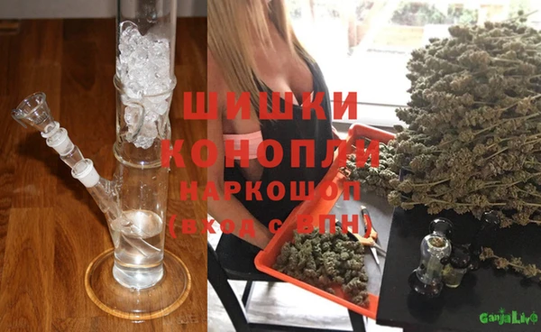 мдпв Каменка