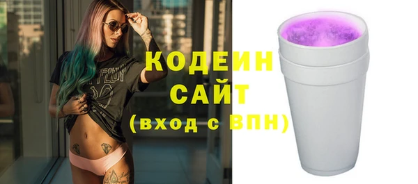 мдпв Каменка