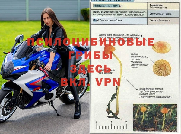 мдпв Каменка