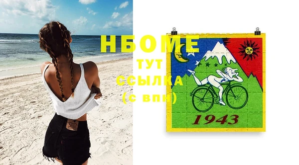 мдпв Каменка