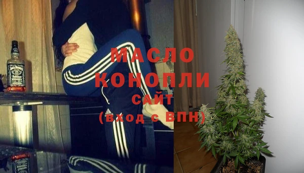 мдпв Каменка