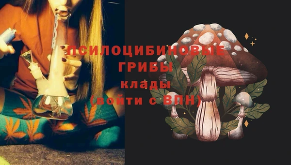 мдпв Каменка