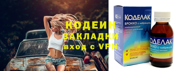 мдпв Каменка