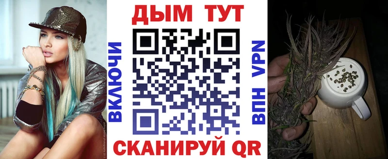 Купить  Жиздра  Бошки Шишки White Widow 